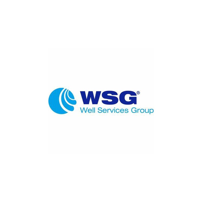 wsg-well=services-group